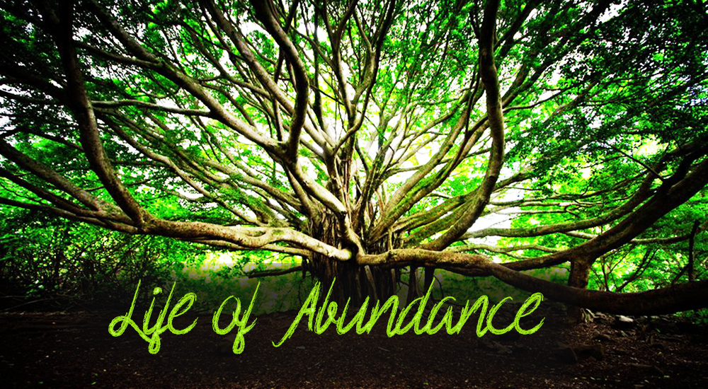 principles-for-a-life-of-abundance-atmayoga