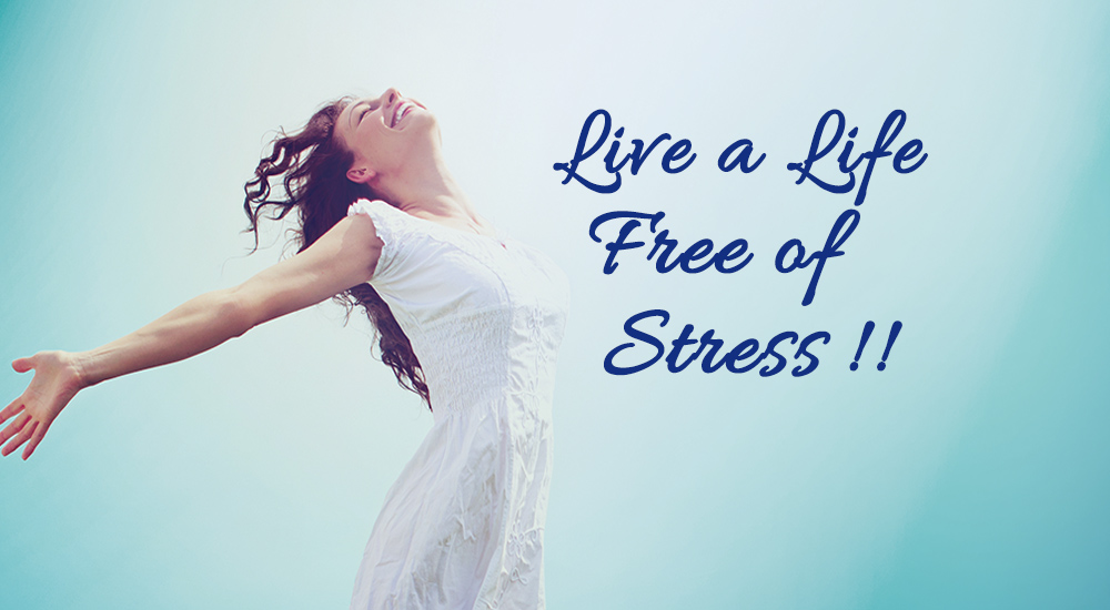 Seven Tips to Live a Stress-Free Life