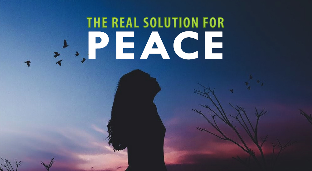 peace-realsolution